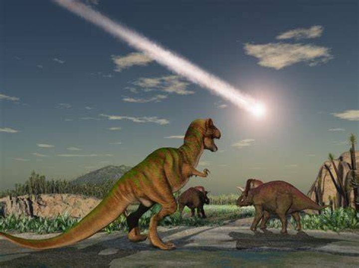 Did any dinosaurs survive?