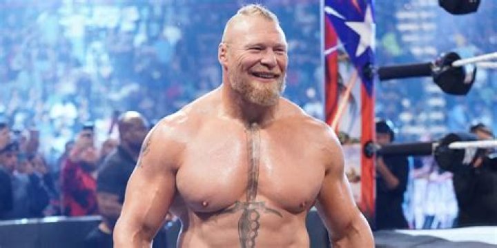 Did Brock Lesnar tap out?