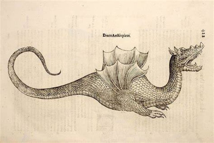 Did dragons exist?