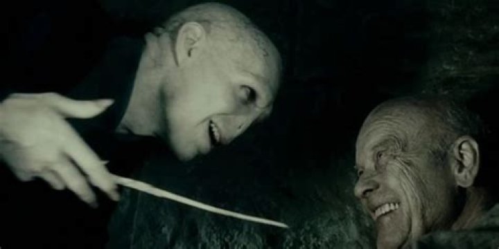 Did Grindelwald inspire Voldemort?