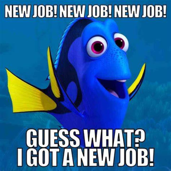 Did Ryan Pace get a New job?