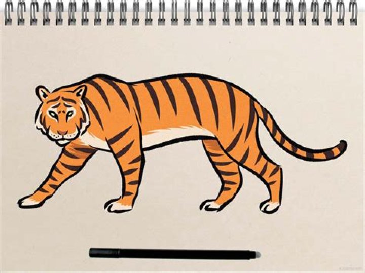 Did Tiger use a cart?
