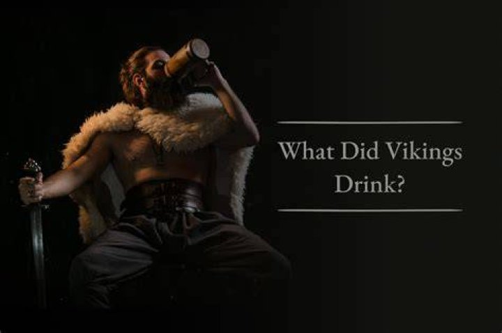 Did Vikings drink a lot of alcohol?