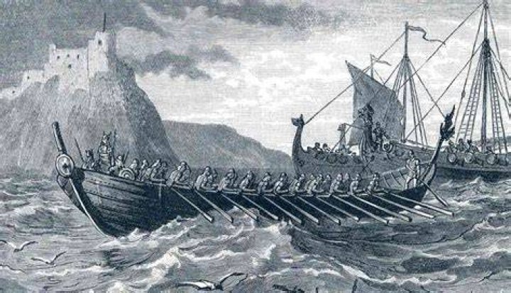 Did Vikings have liver problems?