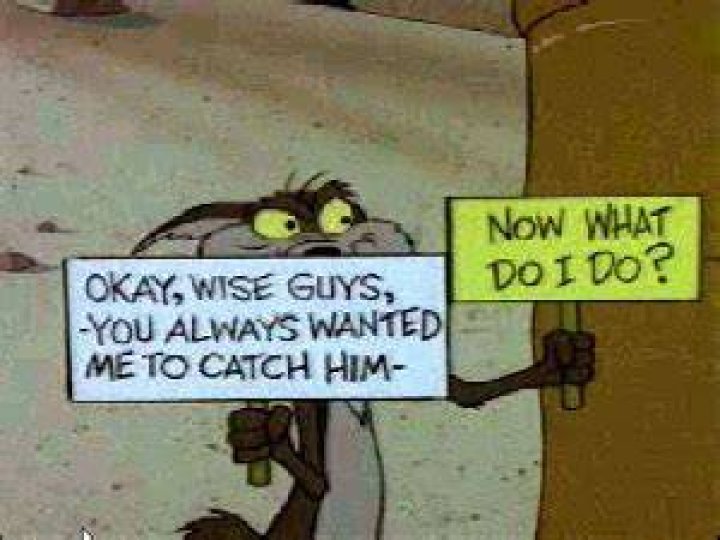 Did Wile E Coyote ever speak?