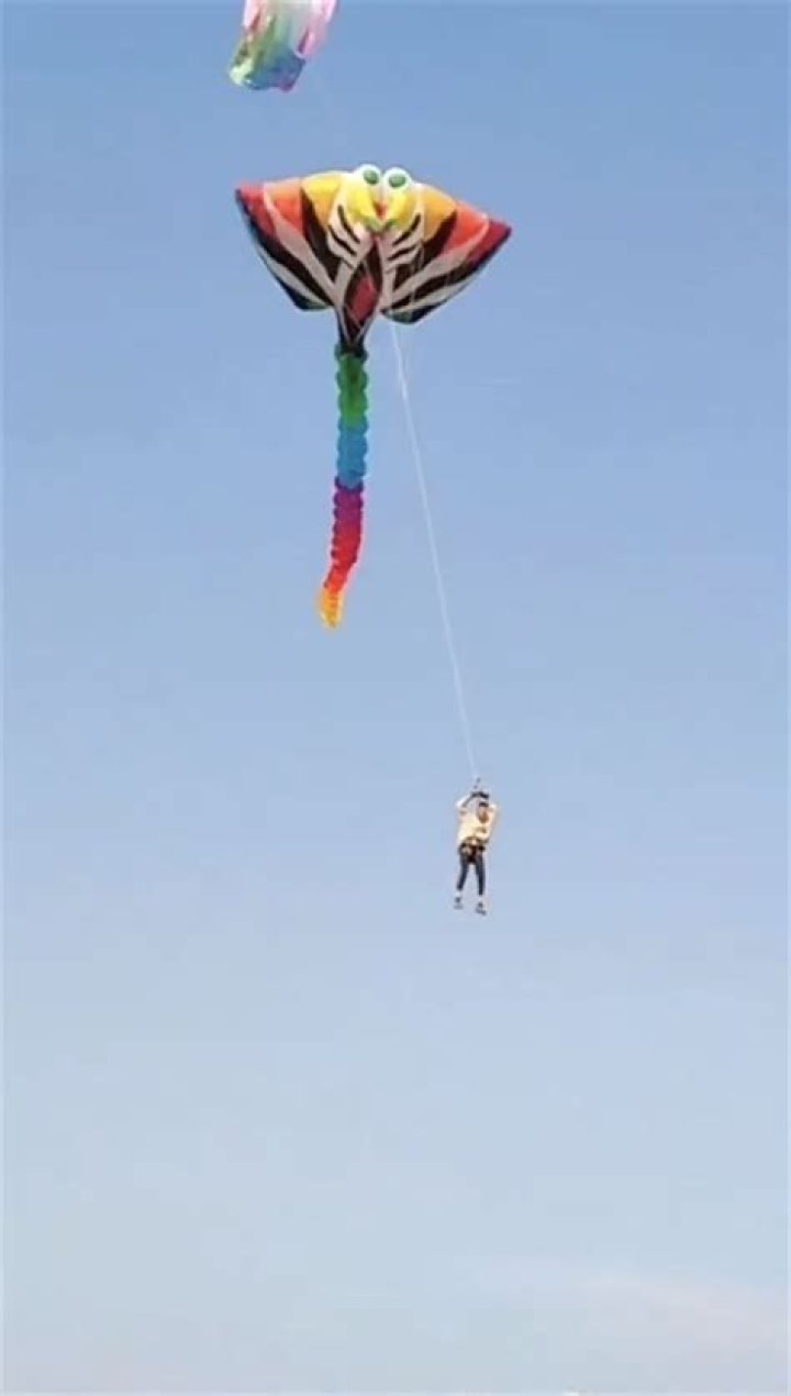 Do all kites fly in the same aerodynamic manner?