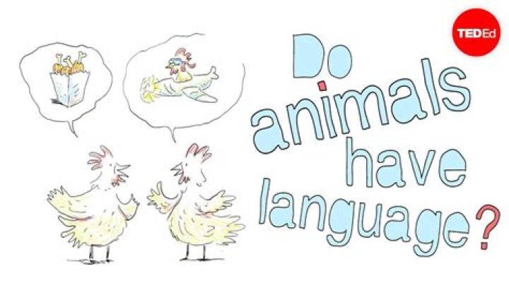 Do animals have language?