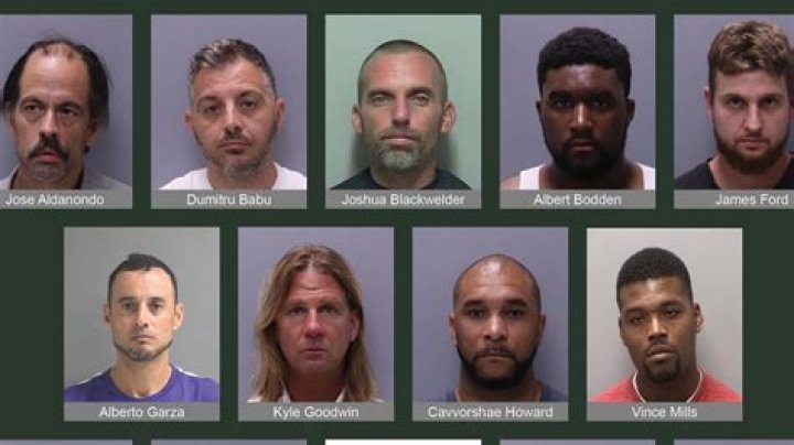 Do arrests show up on DBS?