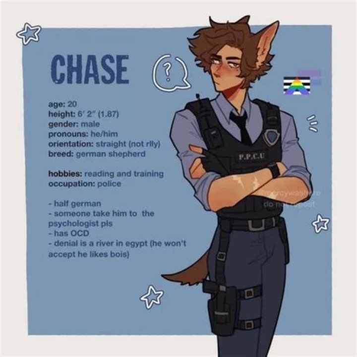 Do bats chase humans?
