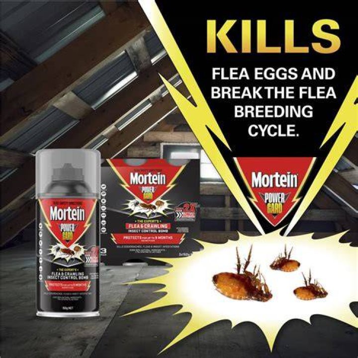 Do bug bombs work on moths?