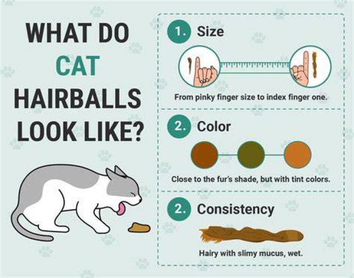 Do cats feel sick when they have a hairball?