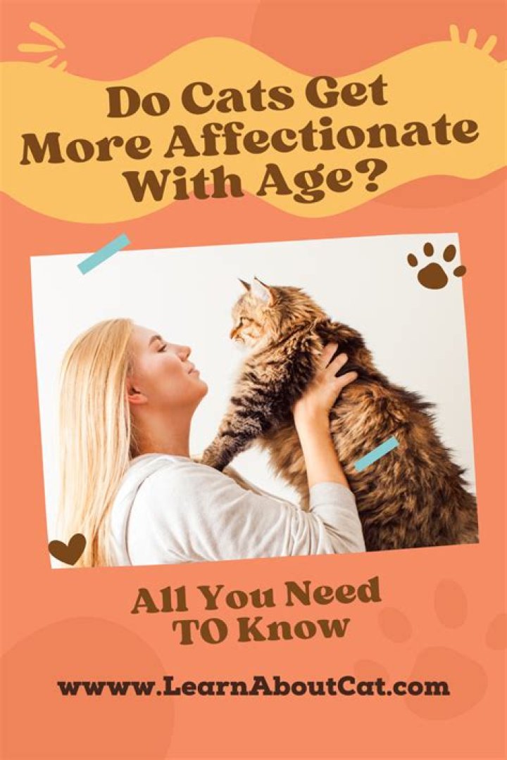 Do cats get more affectionate with age?