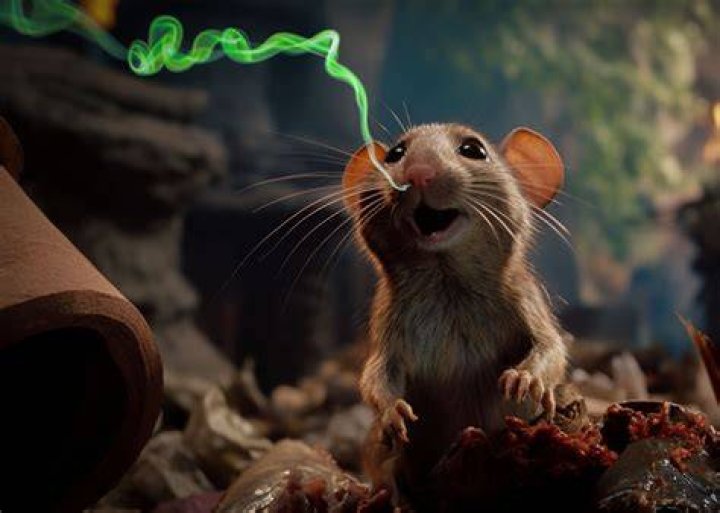 Do coffee grounds attract animals?