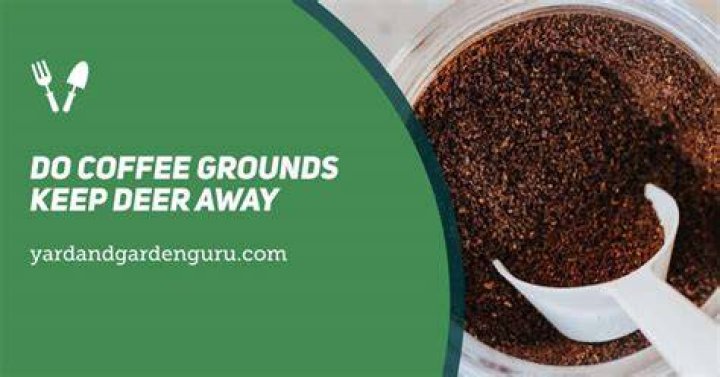 Do coffee grounds keep bugs away?