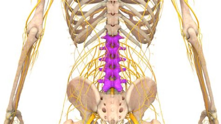 Do damaged nerves ever heal?