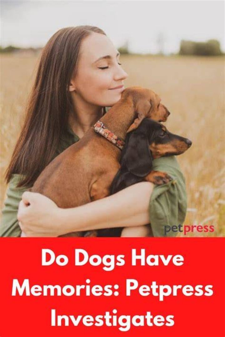 Do dogs have memories?