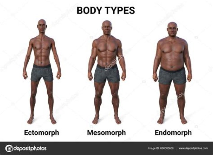 Do Endomorphs live longer?