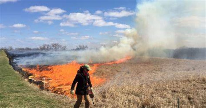 Do farmers burn their fields UK?