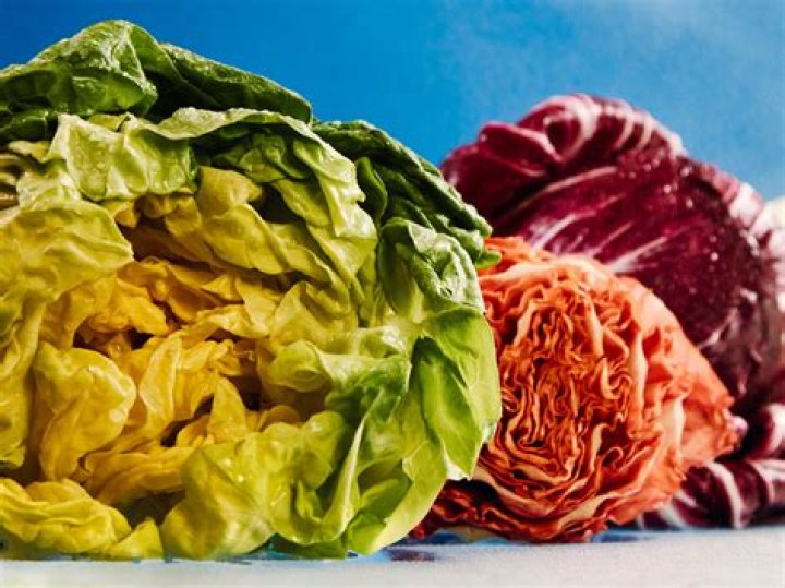 Do fish eat water lettuce?
