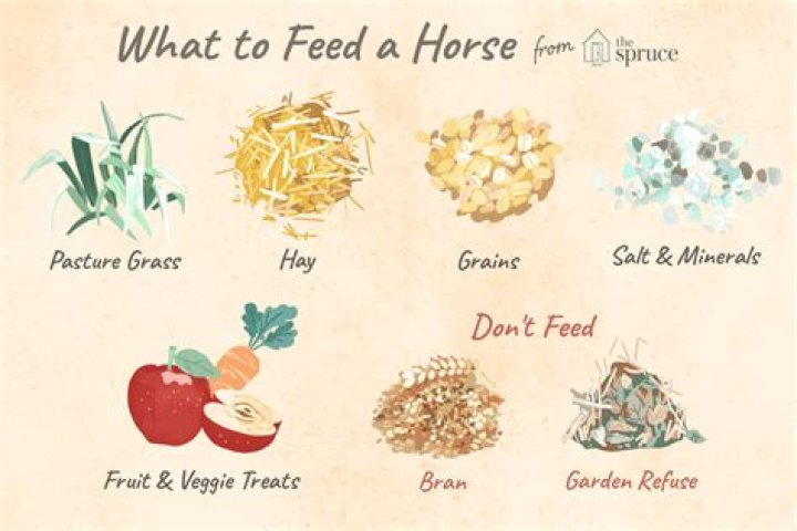 Do horses need grass?