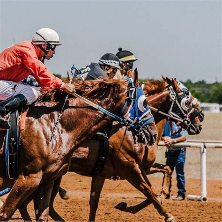 Do horses understand they are racing?