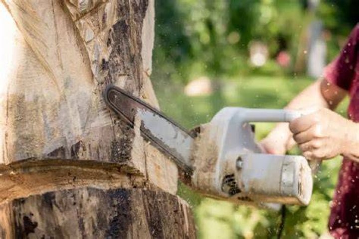 Do I need a permit to cut down a tree on my property in Texas?