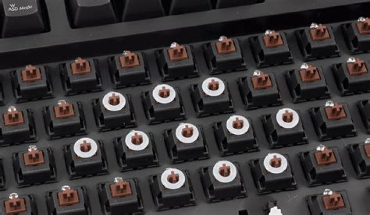 Do keyboard dampeners work?
