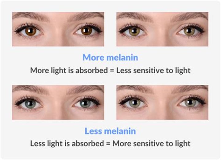 Do lighter eyes let in more light?