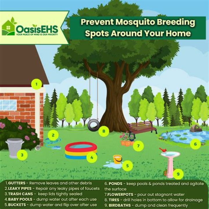 Do mosquitoes breed in artificial grass?
