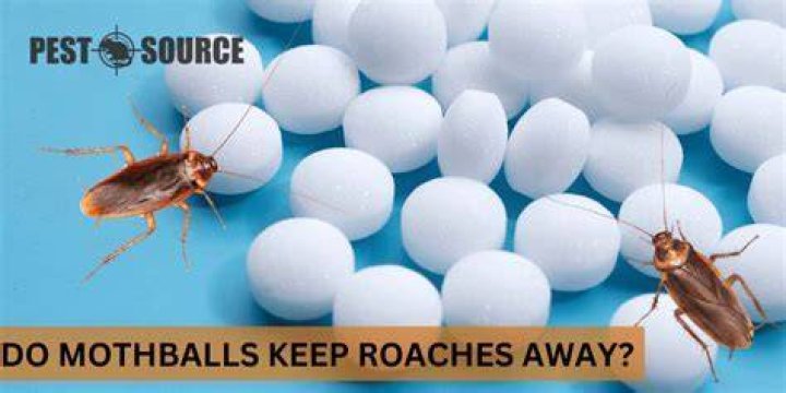 Do mothballs keep carpet beetles away?