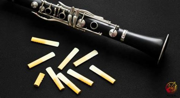 Do old reeds squeak?