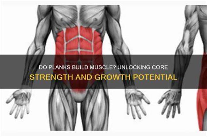 Do planks build muscle?