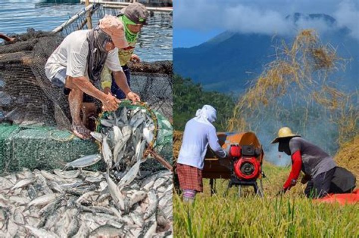 Do pro fishermen get free boats?