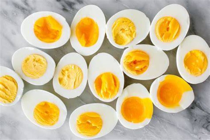 Do reptile eggs have yolk?