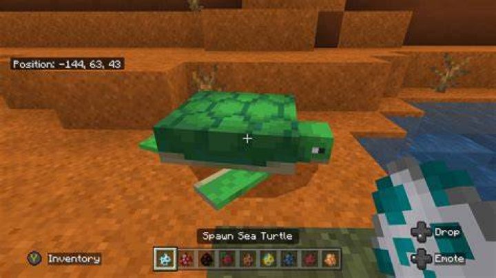 Do turtles eat water sprite?