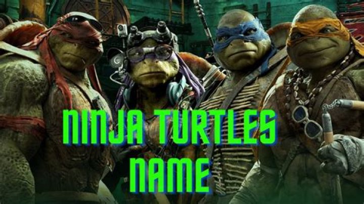 Do turtles respond to their names?