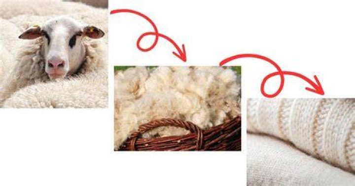 Do vegans use sheep wool?