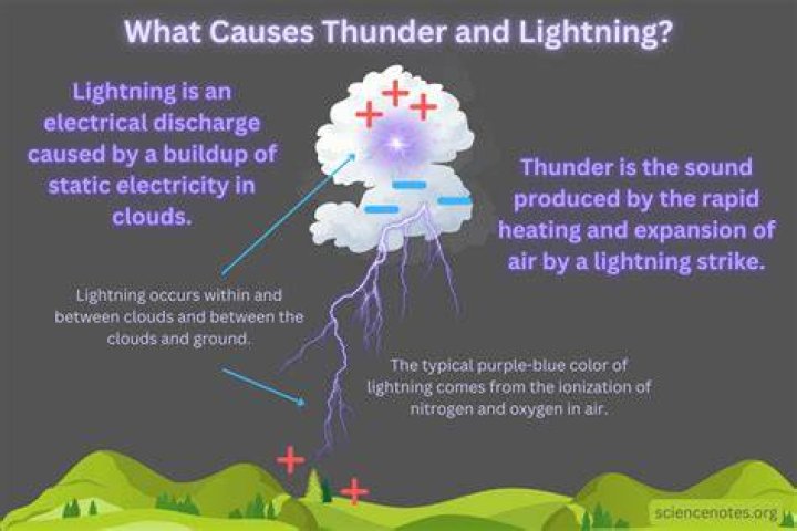 Do willow trees attract lightning?