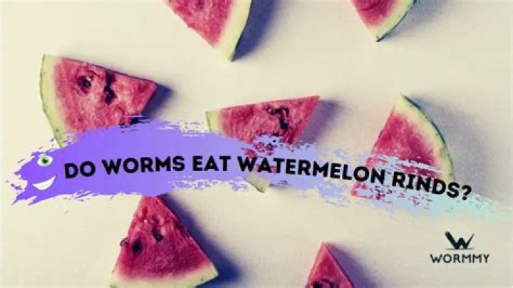 Do worms eat watermelon rinds?