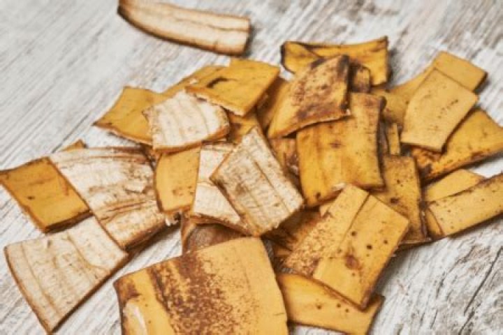 Do worms like banana peels?