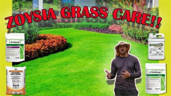 Do you need reel mower for zoysia grass?