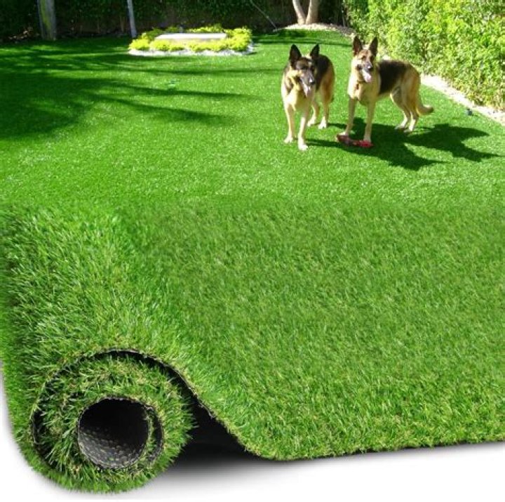 Do you need special artificial grass for dogs?