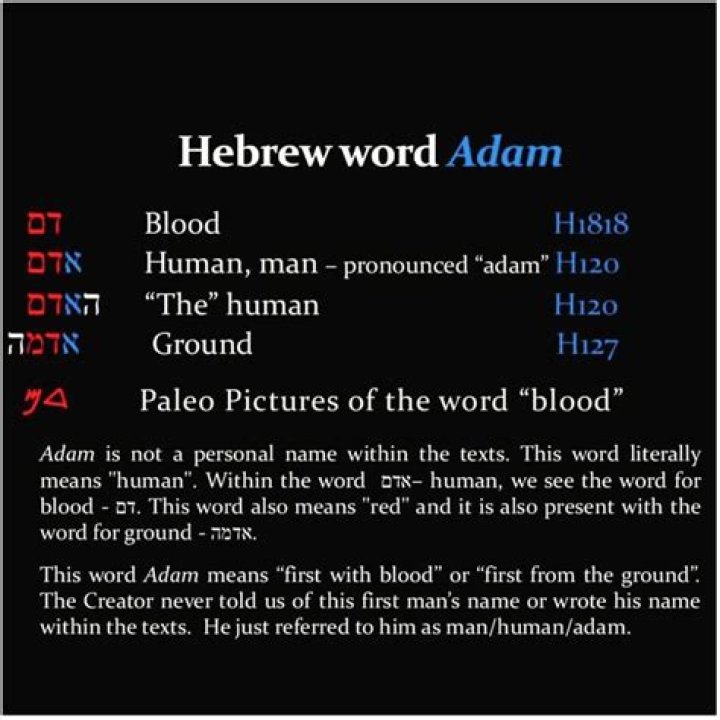 Does Adam mean blood in Hebrew?