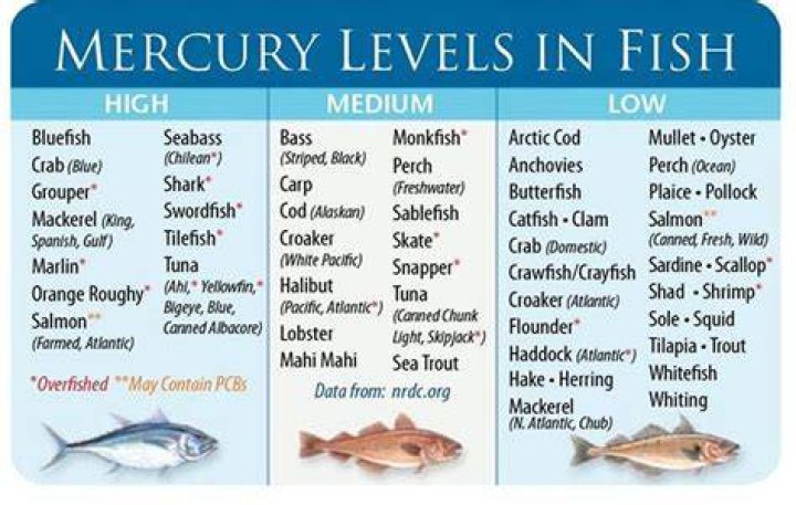Does all fish have mercury?