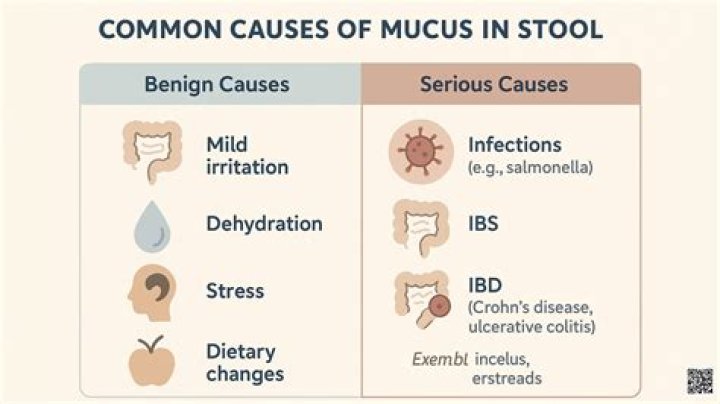 Does an inhaler break up mucus?