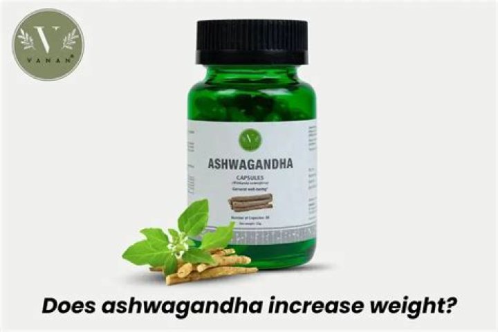 Does ashwagandha make you gain weight?