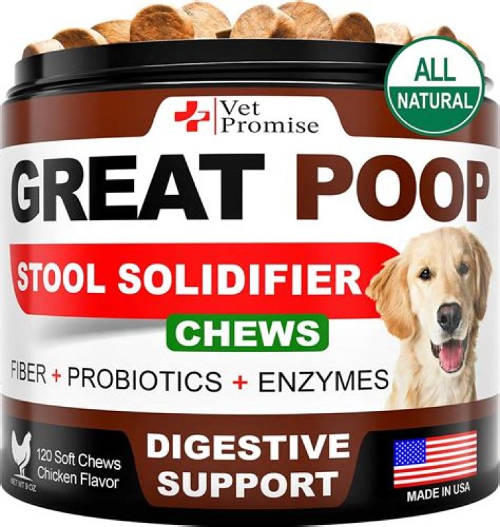 Does banana firm up dog stool?