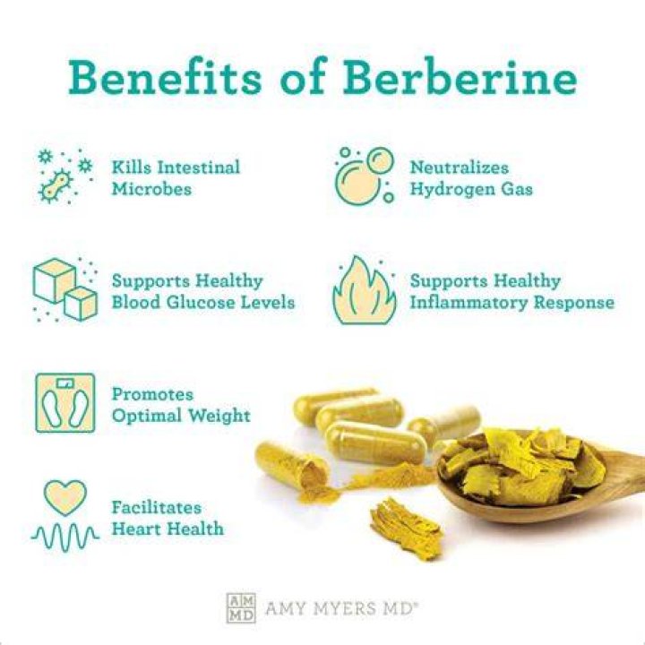Does berberine help with leptin resistance?