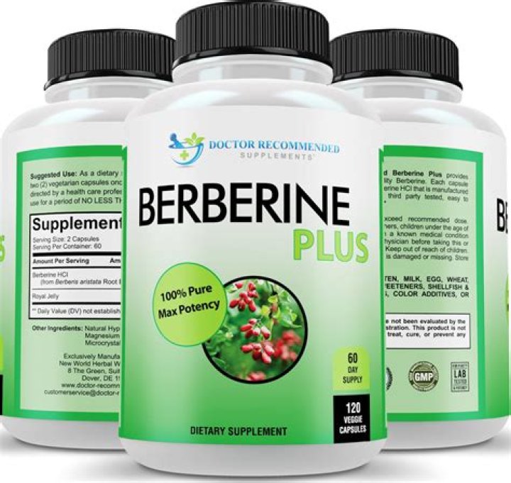 Does berberine increase testosterone?
