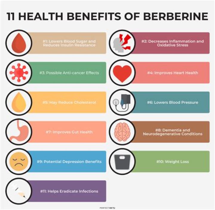 Does berberine lower blood pressure?